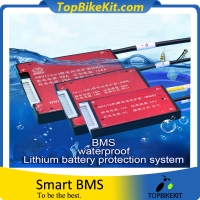 13S 15A-250A Lithium Battery Waterproof BMS with Balance for Electric Bike