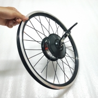 1.6kg AKM-74SX 36V250W front motor with 16inch Brompton 349 wheel rim